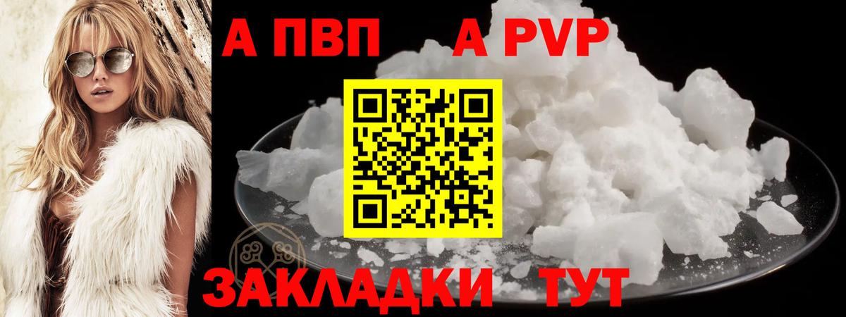 A PVP СК КРИС Владикавказ