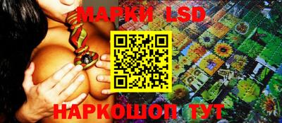 apvp Аша