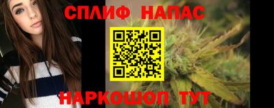 apvp Аша
