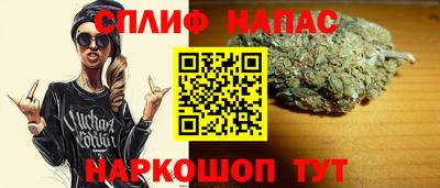 apvp Аша